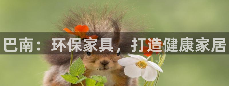 杏耀平台没有了