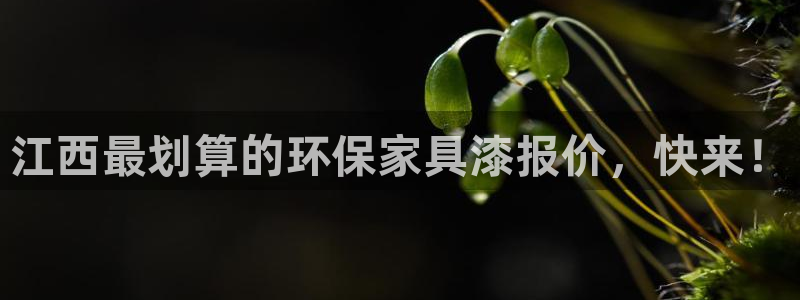 杏耀官网app