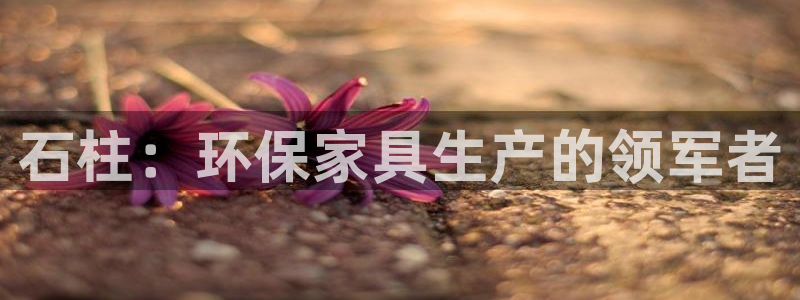 杏耀代理连接