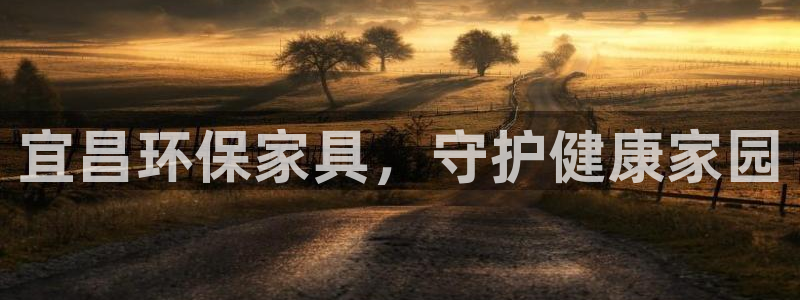 杏耀软件