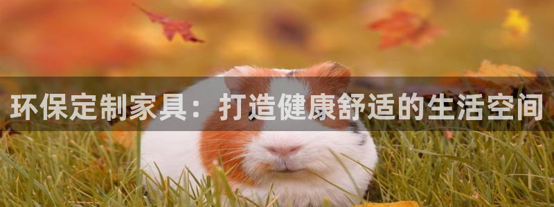 杏耀app怎样申请
