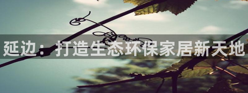 杏耀平台的专用通道