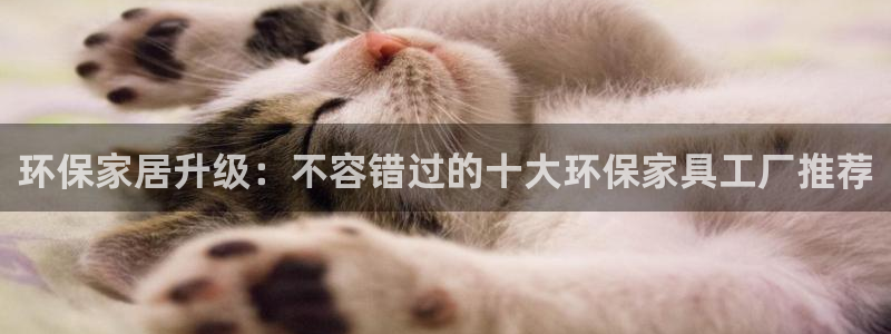 杏耀官网网站中心