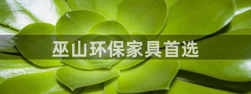 杏耀登陆网站