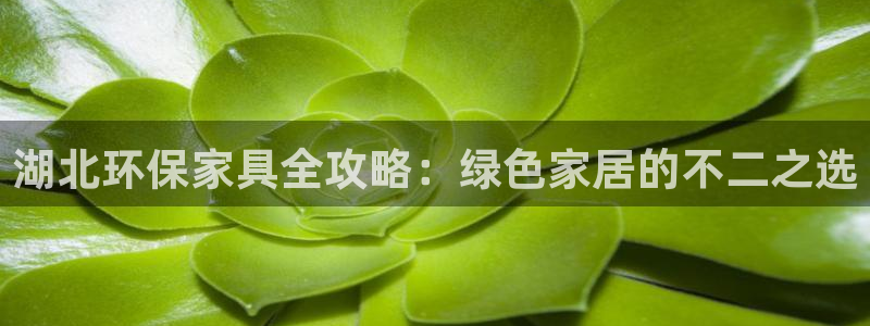 杏耀注册中心：湖北环保家具全攻略：绿色家居的不二之选