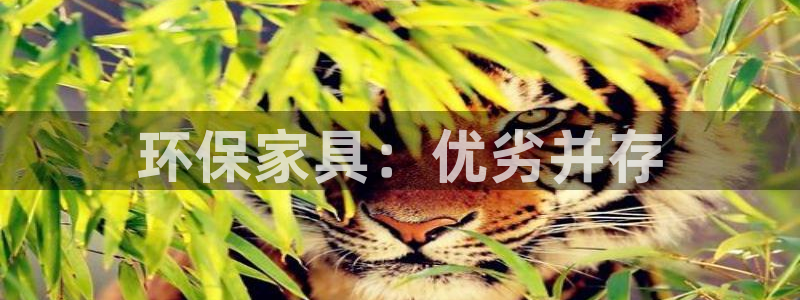 杏耀平台首页