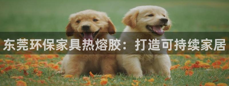 杏耀平台已注册入口：东莞环保家具热熔胶：打造可持续家居