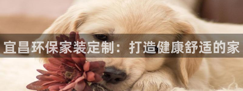 杏耀登入官网