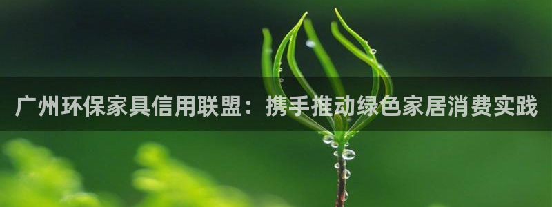 杏耀官方测速：广州环保家具信用联盟：携手推动绿色家居消费实践