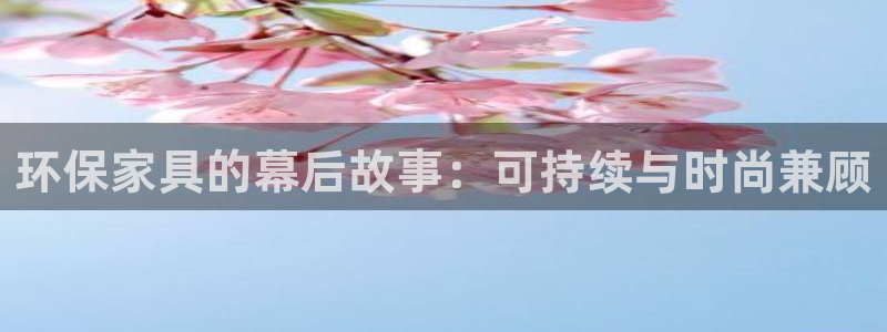 杏耀代理日工资多少