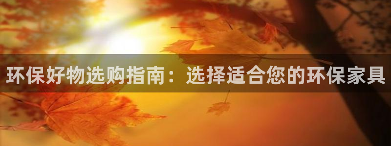 杏耀注册代理：环保好物选购指南：选择适合您的环保家具
