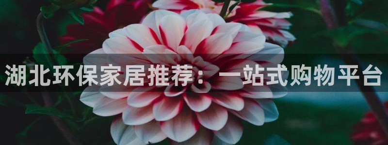 杏耀手机登录线路测速：湖北环保家居推荐：一站式购物平台