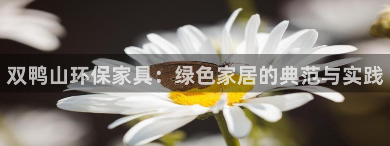 杏耀平台代理怎么赚钱的：双鸭山环保家具：绿色家居的典范与实践