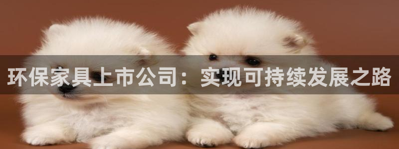 杏耀如何注册：环保家具上市公司：实现可持续发展之路