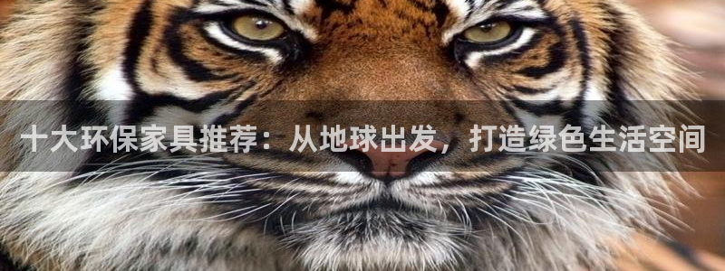 杏耀主管qq：十大环保家具推荐：从地球出发，打造绿色生活空间