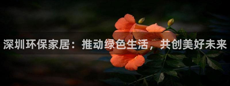 杏耀平台登录检测：深圳环保家居：推动绿色生活，共创美好未来