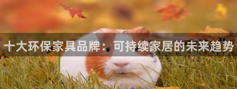 杏耀平台网页版：十大环保家具品牌：可持续家居的未来趋势