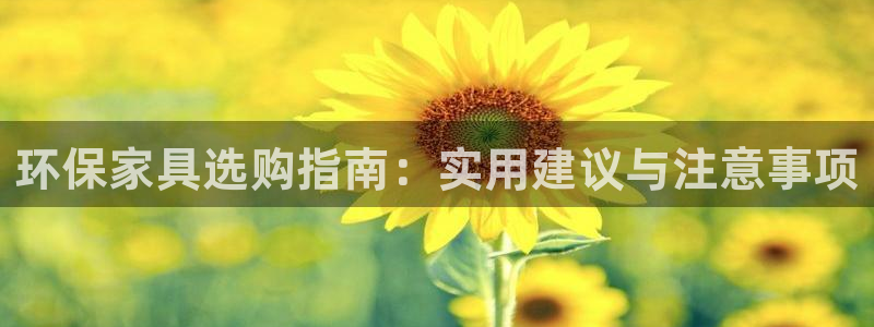 杏耀平台客服：环保家具选购指南：实用建议与注意事项