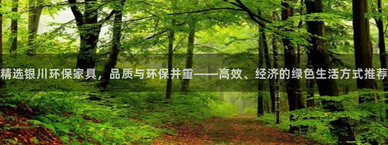杏耀平台线路测试：精选银川环保家具，品质与环保并重——高效、