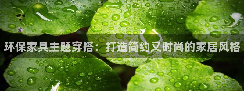 杏耀平台线路测速登录：环保家具主题穿搭：打造简约又时尚的家居