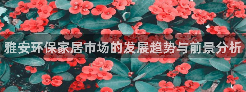 杏耀线路5检测：雅安环保家居市场的发展趋势与前景分析