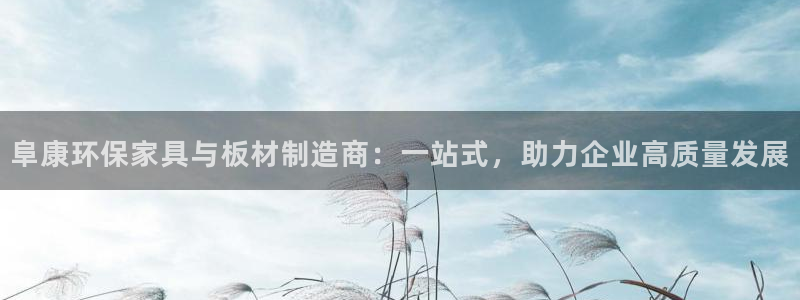 杏耀平台客户端：阜康环保家具与板材制造商：一站式，助力企业高