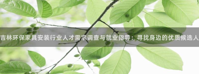 杏耀网页手机登录：吉林环保家具安装行业人才需求调查与就业指导