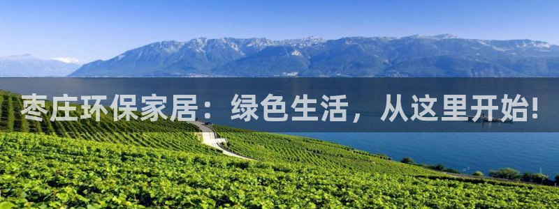 杏耀平台注册登录：枣庄环保家居：绿色生活，从这里开始!