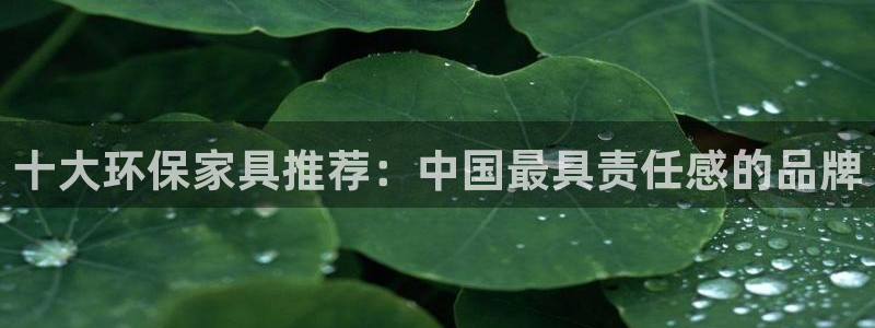 杏耀平台登录方式：十大环保家具推荐：中国最具责任感的品牌