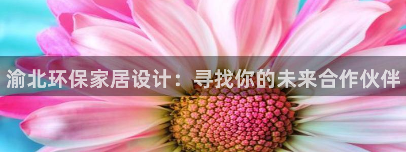 杏耀测速注册：渝北环保家居设计：寻找你的未来合作伙伴