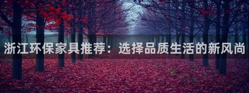 杏耀app怎样申请退款：浙江环保家具推荐：选择品质生活的新风
