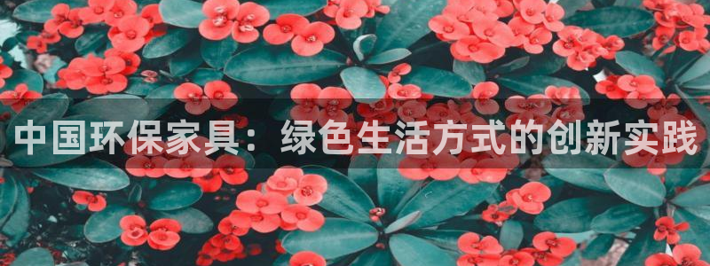 杏耀官网登陆：中国环保家具：绿色生活方式的创新实践