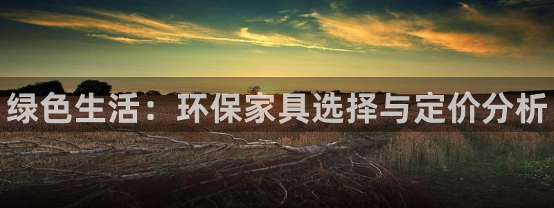 杏耀平台登录检测：绿色生活：环保家具选择与定价分析