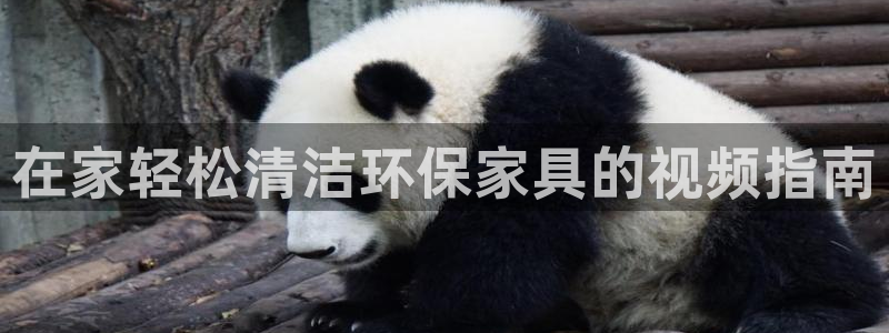 杏耀官网注册地址