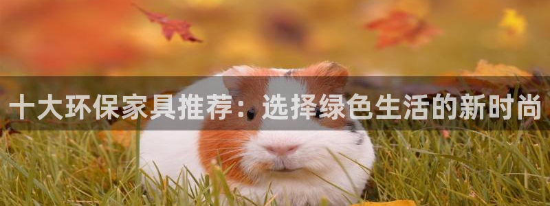 杏耀平台娱乐