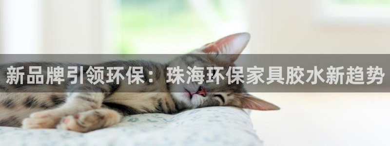 杏耀平台登录地址：新品牌引领环保：珠海环保家具胶水新趋势