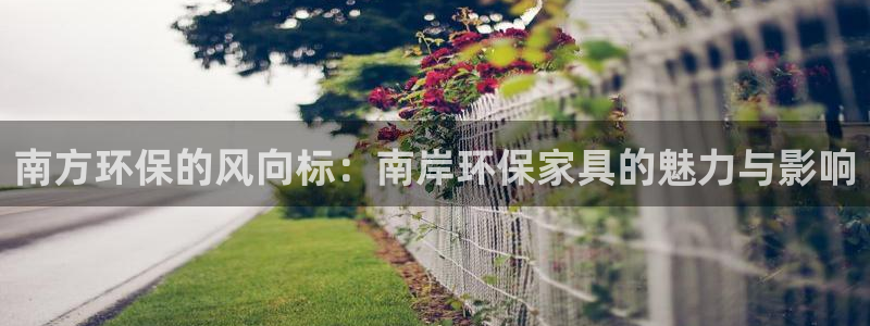 杏耀官方测速：南方环保的风向标：南岸环保家具的魅力与影响