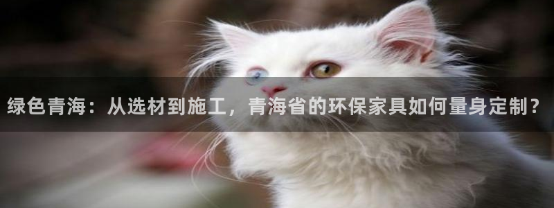 杏耀平台官网：绿色青海：从选材到施工，青海省的环保家具如何量