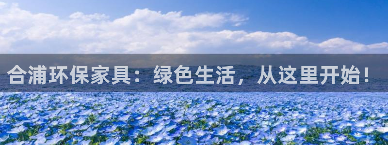 杏耀平台官方登录：合浦环保家具：绿色生活，从这里开始！