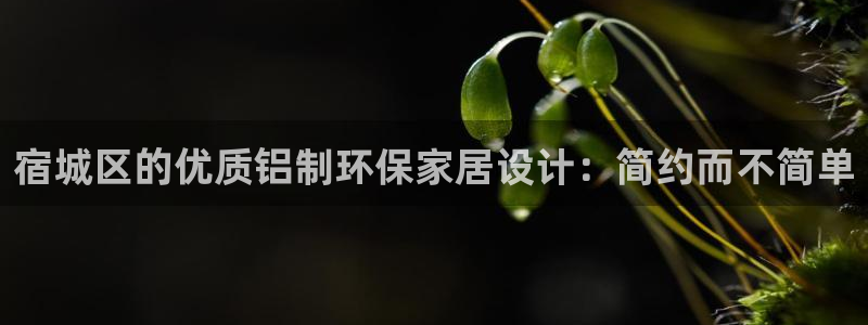 杏耀3代理：宿城区的优质铝制环保家居设计：简约而不简单