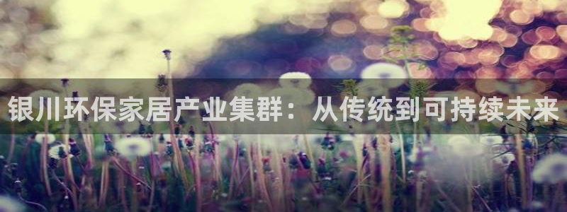 杏耀手机网页登录入口：银川环保家居产业集群：从传统到可持续未