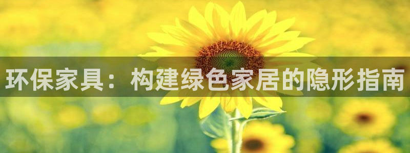 杏耀平台代理怎么赚钱：环保家具：构建绿色家居的隐形指南