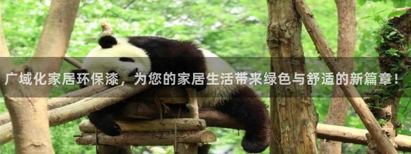 杏耀平台登录地址：广域化家居环保漆，为您的家居生活带来绿色与